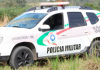 Cão farejador localiza mais de 1,5 mil pedras de crack em terreno baldio