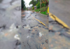Veículos pesados estão proibidos de transitar pela estrada geral de Laguna