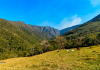 A natureza em suas diversas formas 