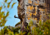Morro dos Conventos é destaque em concurso nacional de fotografia