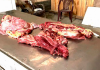 Ao menos três estabelecimentos vendiam carne de cavalo na região