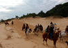 Associação Campeiras do Litoral promove Cavalgada Rosa em Balneário Arroio do Silva