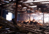 Incêndio destrói estufa de fumo em Maracajá
