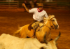 Rodeio Internacional do Caverá começa nesta quinta-feira