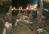 Adolescente morto em acidente em Morro Grande, completaria 15 anos hoje