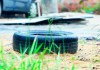 Sul de Santa Catarina tem quatro cidades infestadas pela dengue