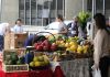 Criciúma: Feira da Agricultura Familiar movimenta Paço Municipal