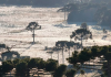 Em meio a frio, geada e chuva, SC amanhece com termômetros em quase -4ºC