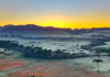 Serra de SC amanhece com a paisagem ‘branquinha’ e geada bate recorde em novembro
