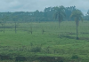 Após a forte chuva, saiba como fica o tempo nos próximos dias no Vale do Araranguá