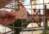 Center Shopping cria ambiente para apaixonados declararem seu amor
