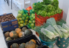 CRAS de Balneário Gaivota é o primeiro a receber recursos do Programa Alimenta Brasil