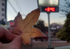 Frio congelante: massa de ar seco deve trazer geada e temperaturas negativas a SC