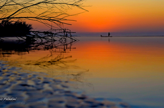 Pesca da Tainha