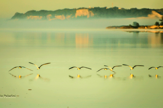 Rio Araranguá