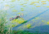 Identificado ciclista morto em grave acidente na SC-449