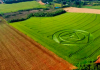 ‘Eles voltaram?’: marca misteriosa aparece de novo em plantação de trigo em SC