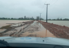 Chuvas deixam prejuízos de 15 milhões na agricultura e pecuária de leite em Meleiro