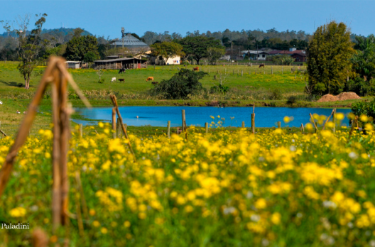 Primavera