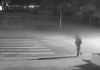 Santa Rosa do Sul: Homem é investigado após jogar flores em frente a uma creche durante a madrugada