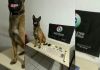 Arapongas: Polícia prende dupla por tráfico de drogas, acusados possuíam até rádio comunicador além de cocaína e maconha 