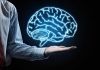 Programação Neurolinguística: As quatro formas de percepção humana   