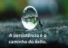 Quem persistirá? 