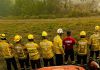 Queimadas no Pantanal: bombeiros de Santa Catarina intensificam combate às chamas no Mato Grosso do Sul