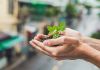 Unesc recebe 5ª Conferência Municipal de Segurança Alimentar e Nutricional