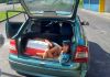 Entre sacolas e uma caixa térmica, crianças eram transportadas em porta-malas de carro parado pela PRF 