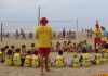 Programa Golfinho acontece neste fim de semana nas praias