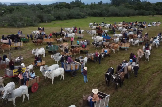 1°Festa do Carro de Boi: Entenda a tradição do veículo agrícola em São João do Sul