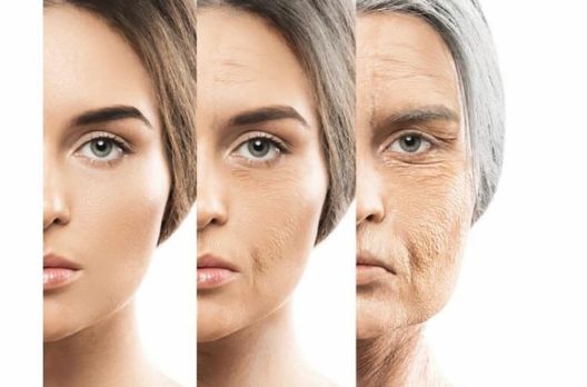 O que é Skinbooster ? 