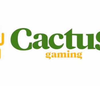 Cactus Gaming levanta a bandeira do jogo responsável no iGaming brasileiro