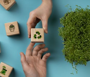 Desmatamento e mudanças climáticas lideram preocupações ambientais no Brasil, mostra pesquisa