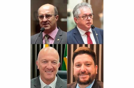 Amesc tem 4 pré-candidatos, por enquanto