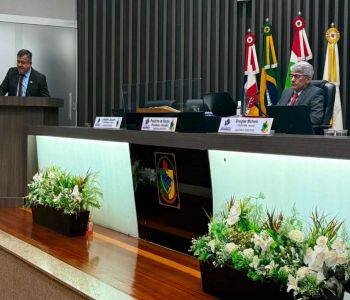 Aprovado Anteprojeto que incentiva autonomia e inclusão de mães atípicas