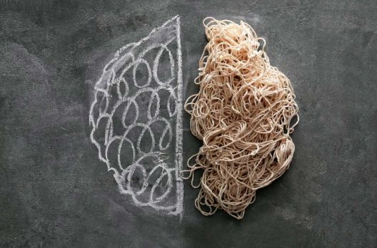 SC está colocando o carro na frente dos bois