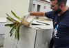 Combate à Dengue em Araranguá: inspeção pós-Finados nos cemitérios