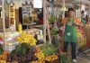 Center Shopping promove Feira da Agricultura Familiar neste sábado