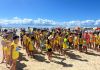 Inscrições abertas para o Programa Golfinho nas praias do Litoral Sul