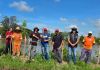 Plantio promovido pela FAMA acontece nas margens do Rio Araranguá