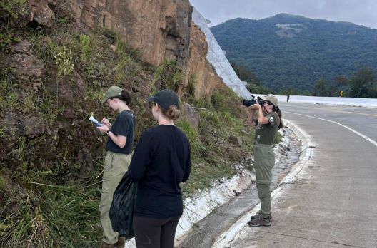 Pesquisadoras da UNESC realizam estudo sobre biodiversidade na Serra da Rocinha