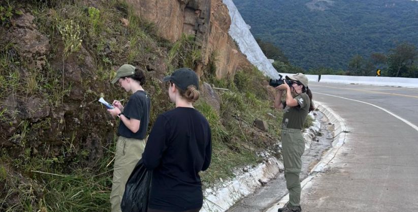 Pesquisadoras da UNESC realizam estudo sobre biodiversidade na Serra da Rocinha