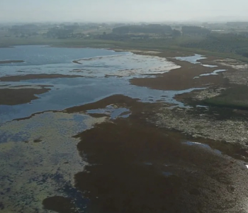 Lagoa do Caverá preocupa autoridades após redução no volume de água em Araranguá