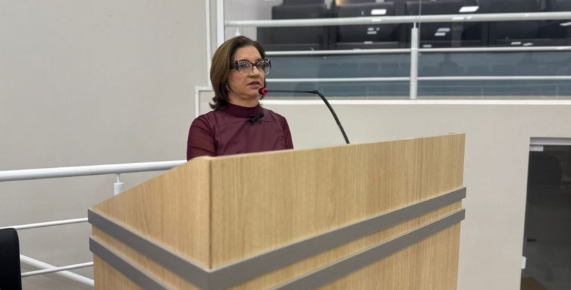 Sessão na Câmara de Arroio do Silva debate políticas de enfrentamento à violência contra a mulher