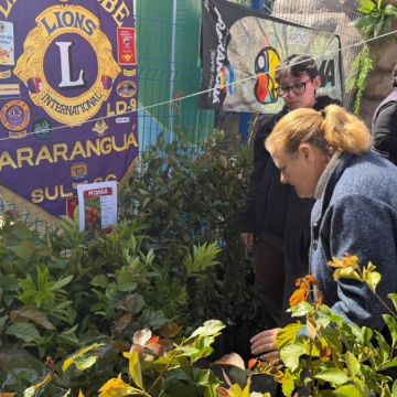 Araranguá distribui 500 mudas em ação pelo Dia Internacional da Árvore
