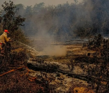 Super El Niño pode provocar 451 mil mortes por calor extremo no mundo, estima estudo