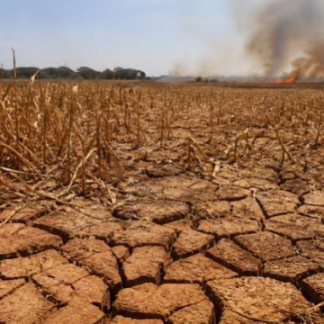 Super El Niño pode provocar 451 mil mortes por calor extremo no mundo, estima estudo