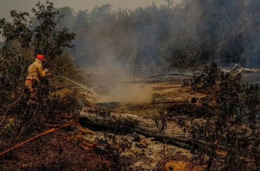 Super El Niño pode provocar 451 mil mortes por calor extremo no mundo, estima estudo